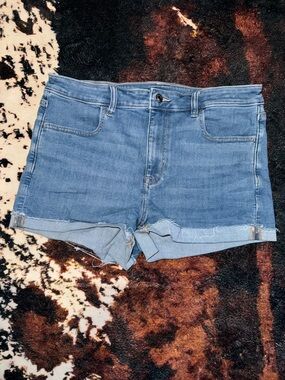 American Eagle shorts size 14